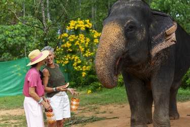 Azamara Cruises Elephant Sanctuary in Thailand © Jenna Lyn, Azamara Cruises1.jpg